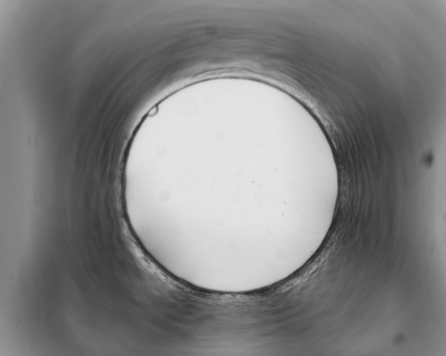 X0000097881534200804110936