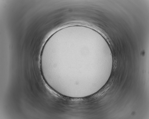 X0000097881535200804110936