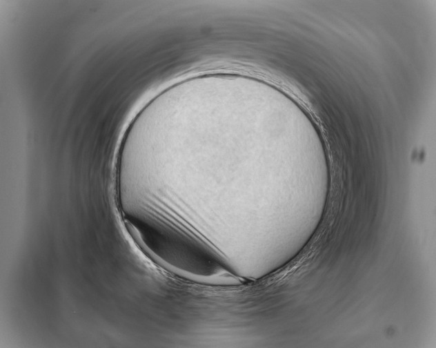 X0000097881536200804110937