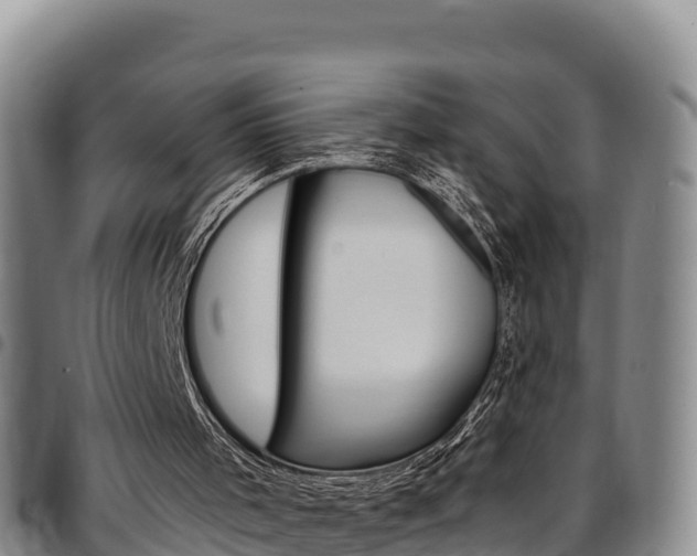 X0000097890001200803141015
