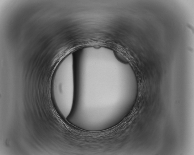 X0000097890002200803141015