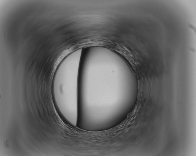X0000097890003200803141015