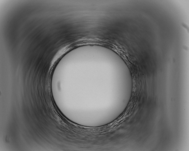 X0000097890004200803141015