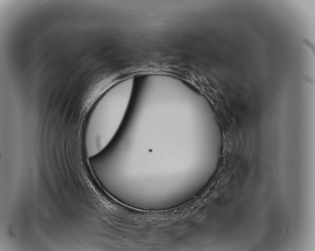 X0000097890005200803141015