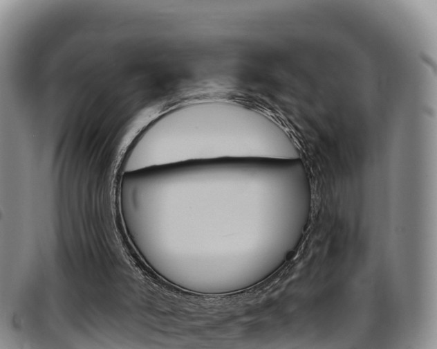 X0000097890006200803141015