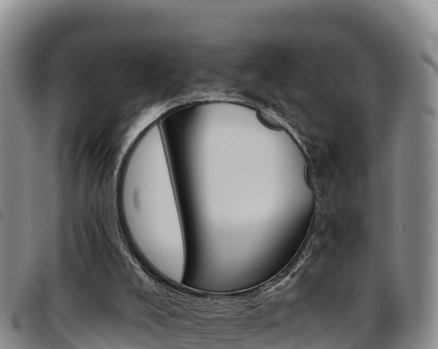 X0000097890008200803141015