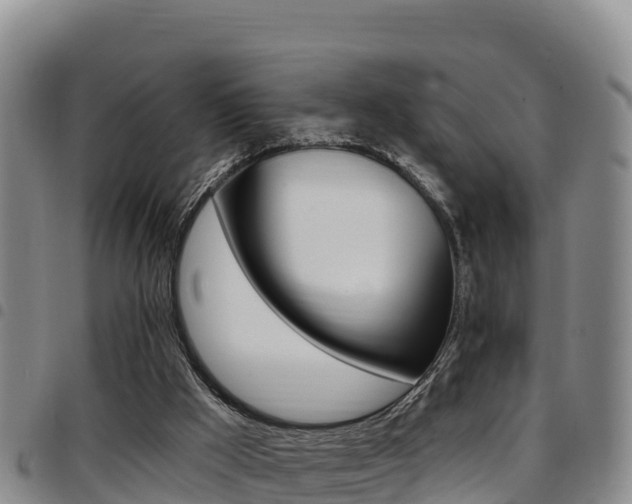 X0000097890009200803141015