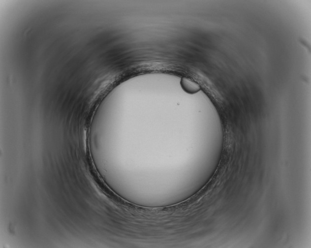 X0000097890014200803141015