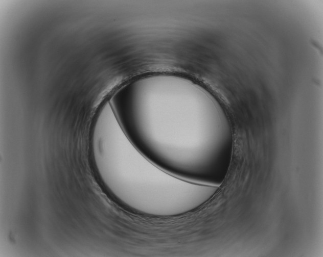 X0000097890015200803141015