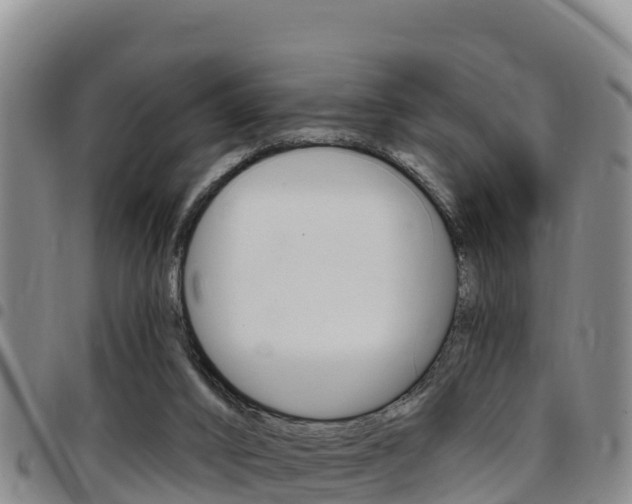 X0000097890016200803141015