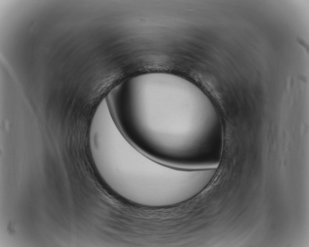 X0000097890017200803141015