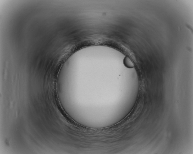 X0000097890018200803141015