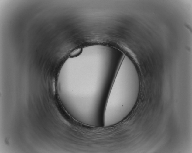 X0000097890020200803141015
