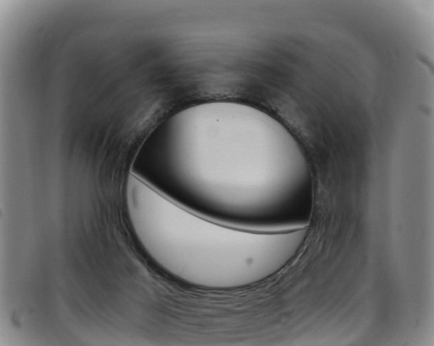 X0000097890021200803141015