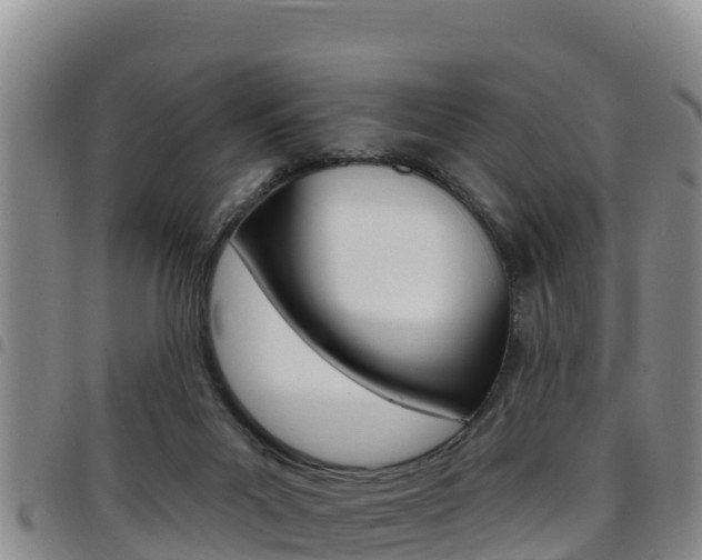 X0000097890023200803141015