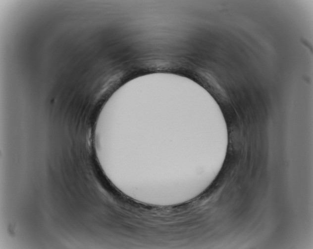 X0000097890024200803141015