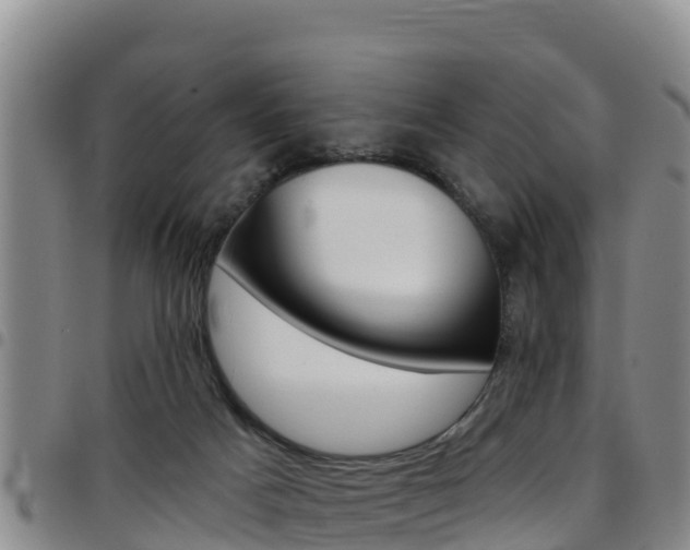 X0000097890025200803141015