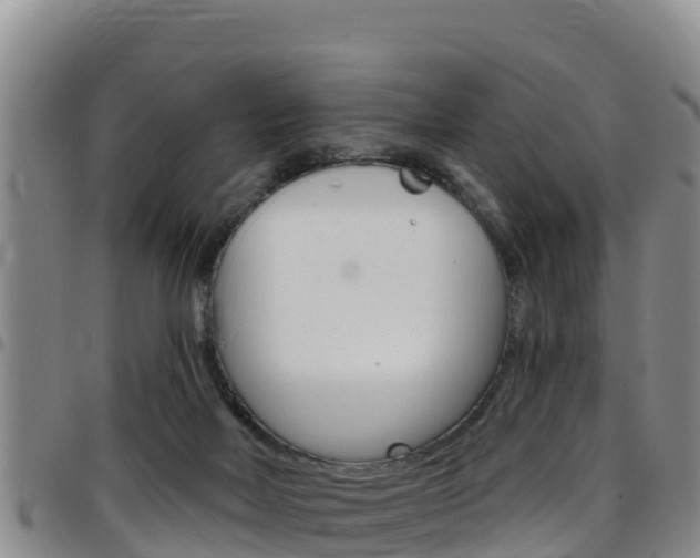 X0000097890026200803141015