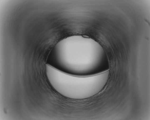X0000097890029200803141015