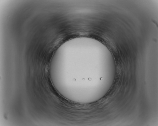 X0000097890032200803141015