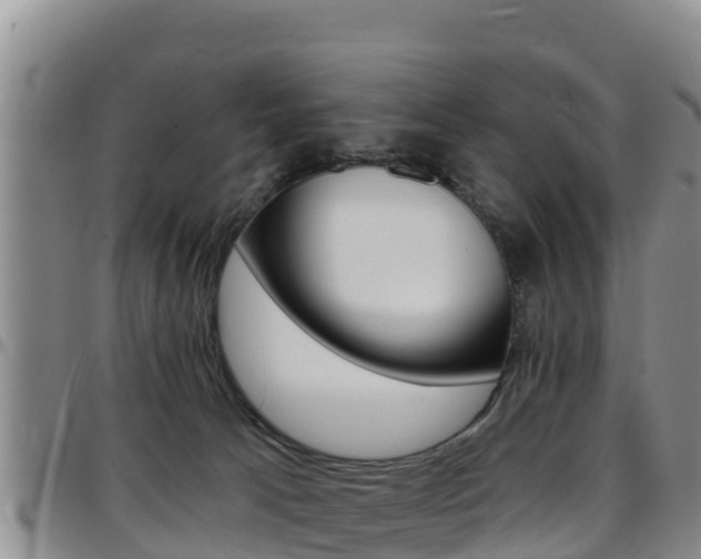 X0000097890033200803141015