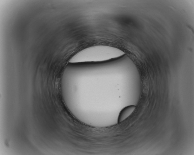 X0000097890034200803141015