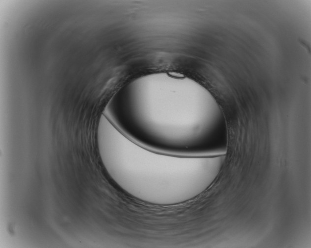X0000097890035200803141015