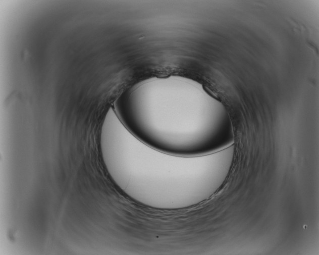 X0000097890037200803141015