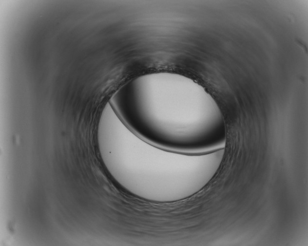 X0000097890039200803141015