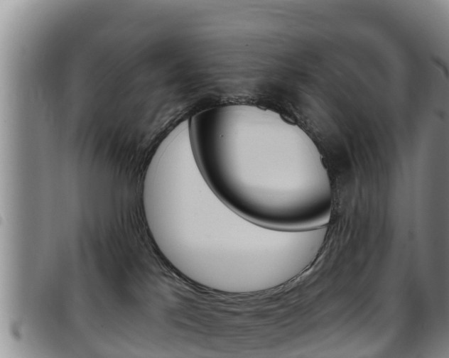 X0000097890041200803141015