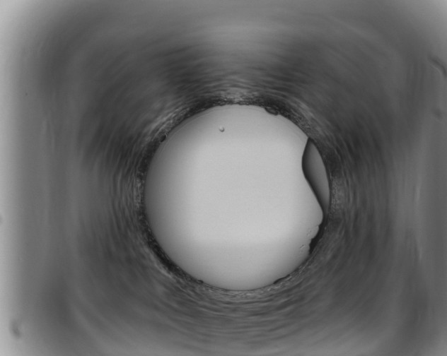 X0000097890043200803141015