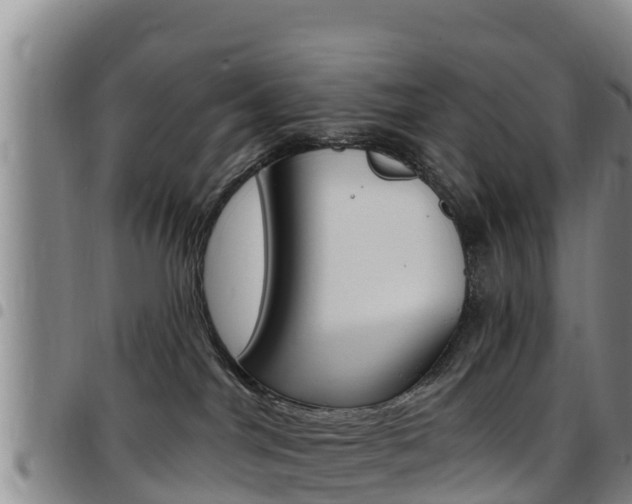 X0000097890044200803141015