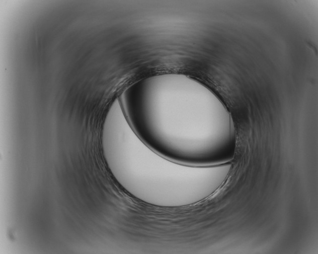 X0000097890045200803141015