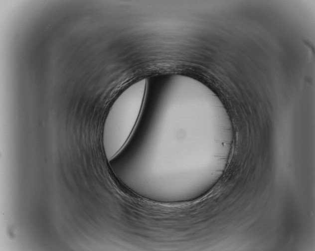 X0000097890048200803141015