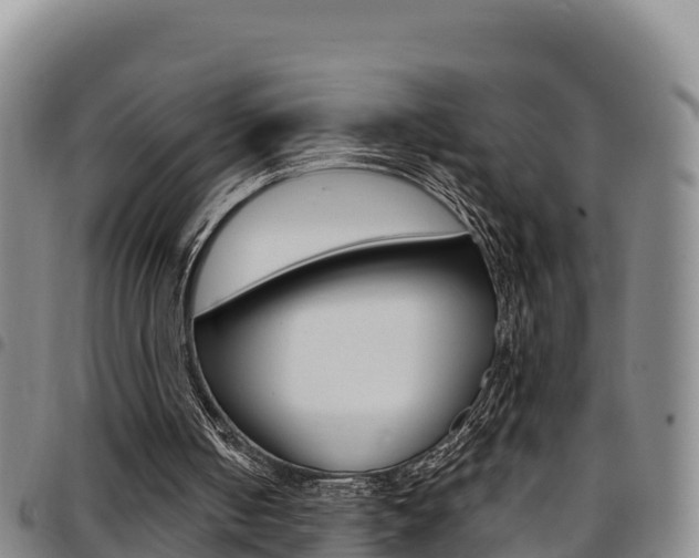 X0000097890050200803141014
