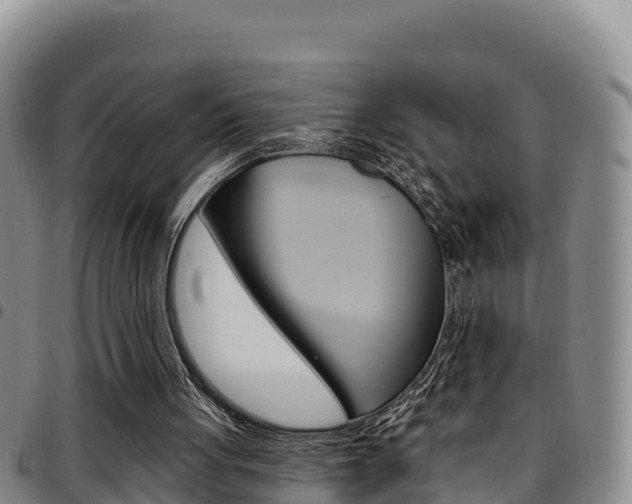 X0000097890051200803141014