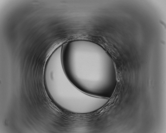 X0000097890052200803141014