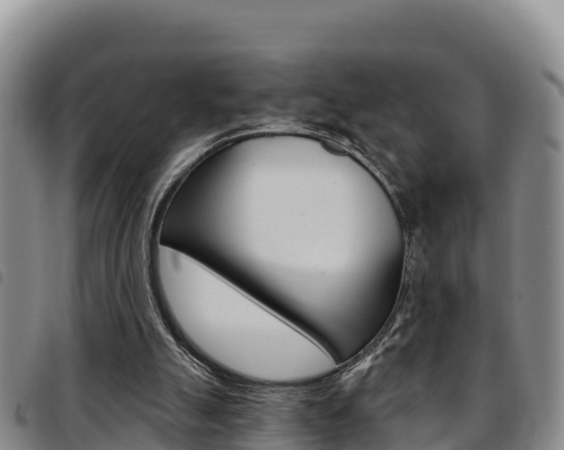 X0000097890055200803141014