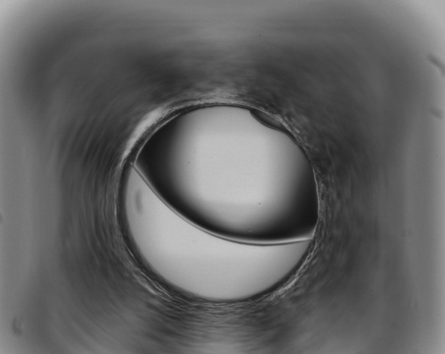 X0000097890056200803141014
