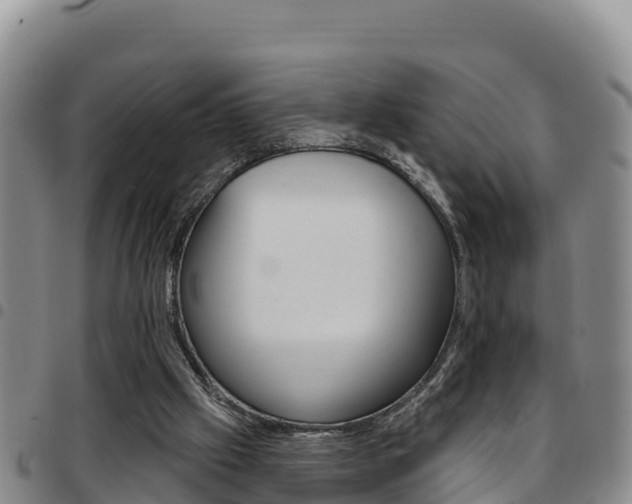 X0000097890057200803141014
