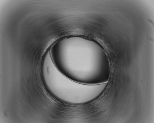 X0000097890060200803141014
