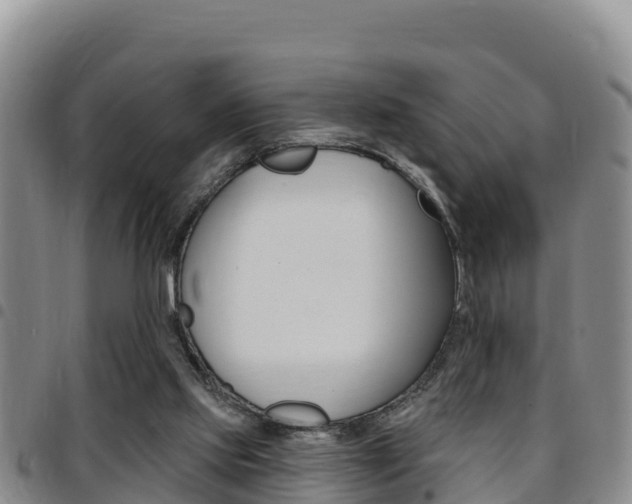 X0000097890061200803141014