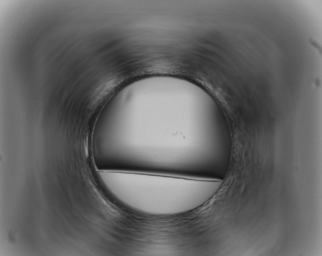 X0000097890062200803141014