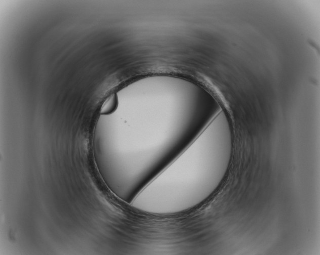 X0000097890063200803141014