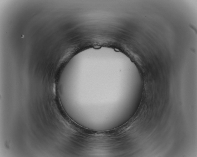 X0000097890067200803141014