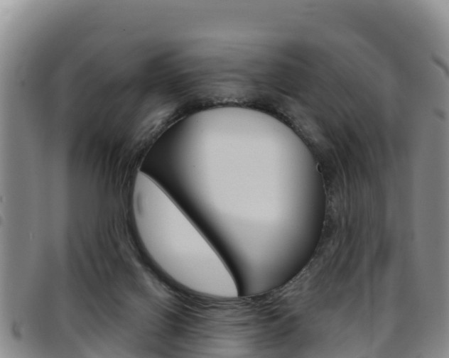 X0000097890070200803141014