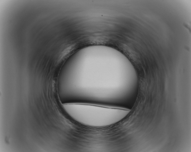 X0000097890071200803141014