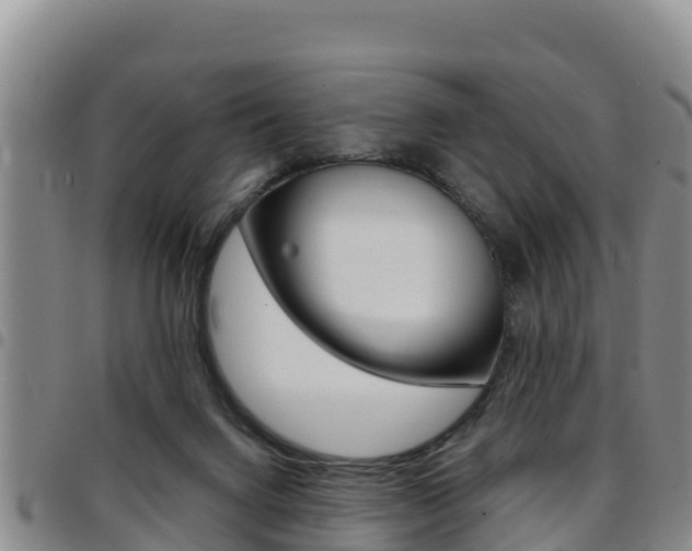 X0000097890072200803141014