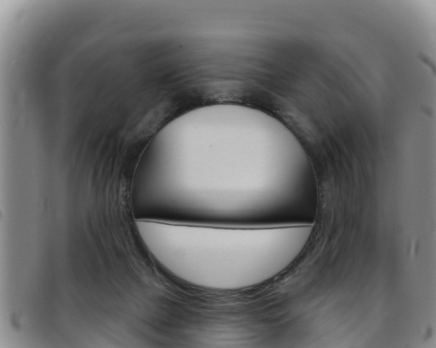 X0000097890073200803141014