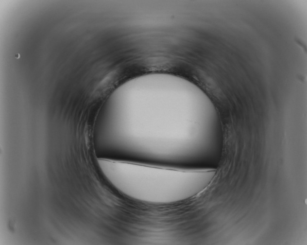 X0000097890074200803141014